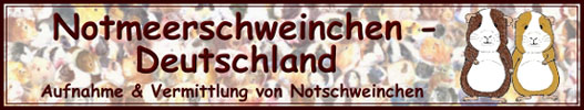 Notmeerschweinchen-Deutschland